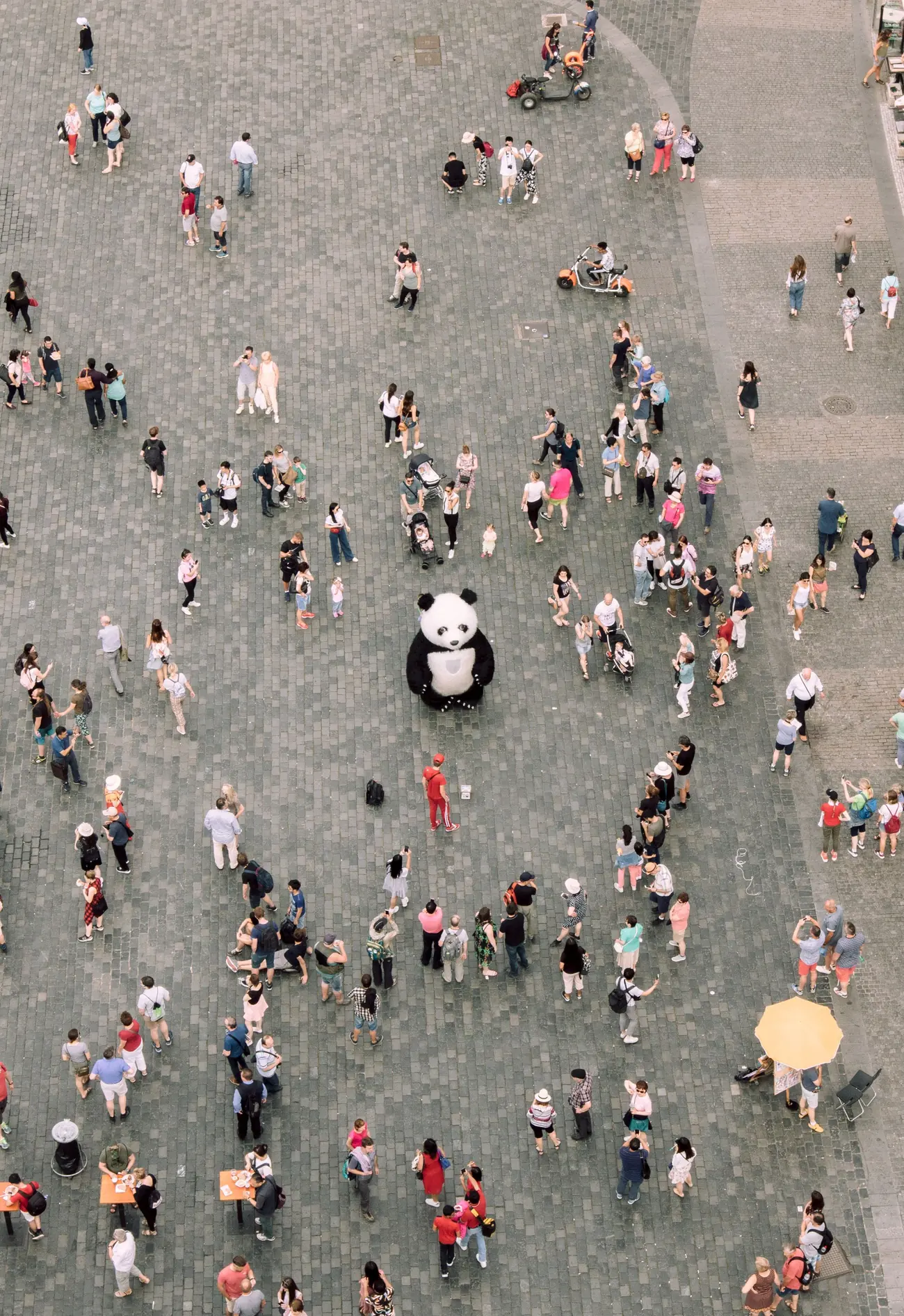 En björn i panda-dräkt mitt i en folkmassa, sedd ovanifrån